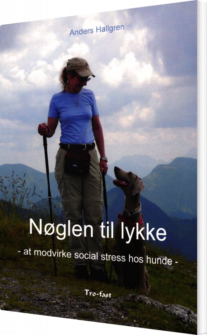 Billede af Nøglen Til Lykke - Anders Hallgren - Bog