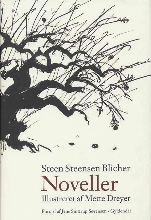 Billede af Noveller - Steen Steensen Blicher - Bog