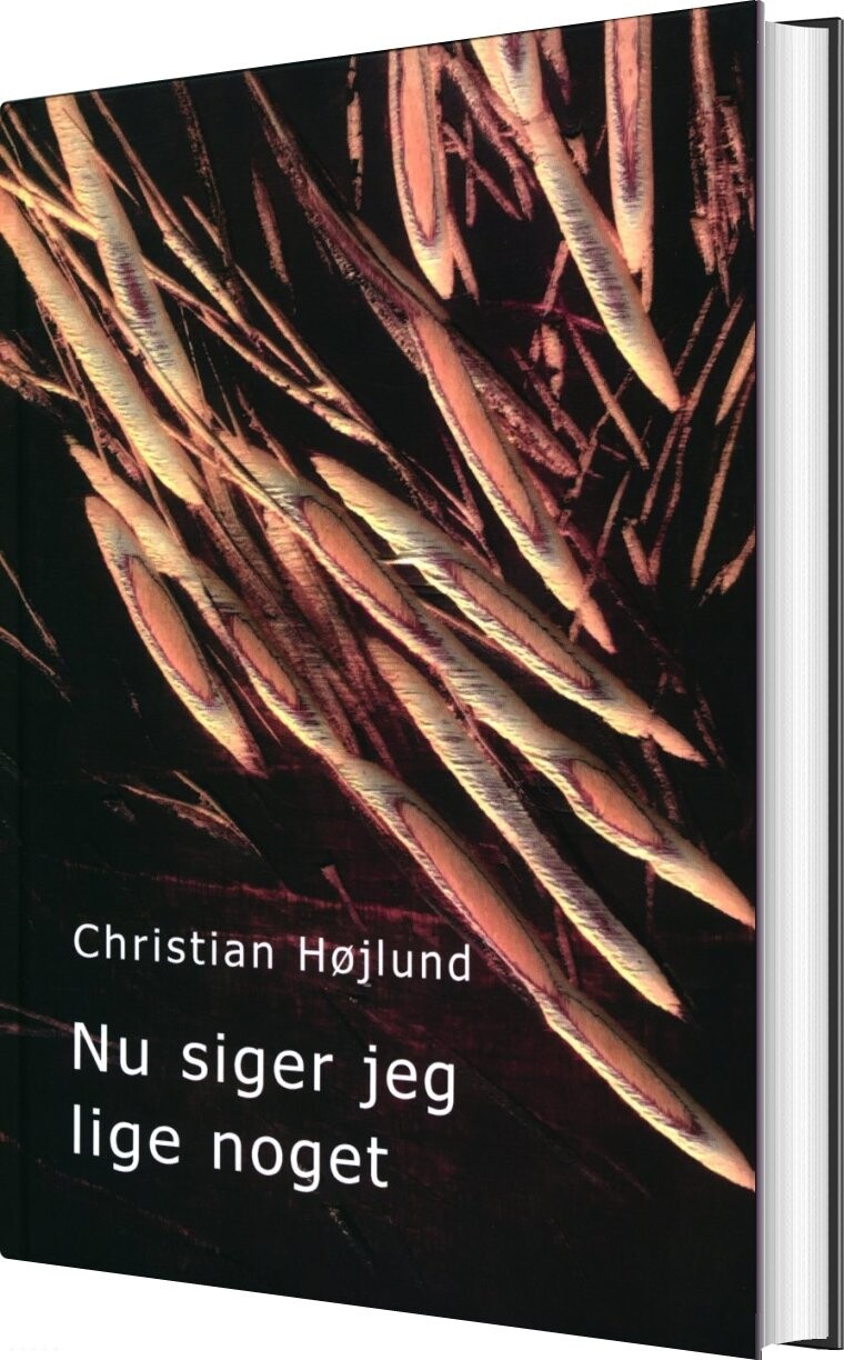 Billede af Nu Siger Jeg Lige Noget - Christian Højlund - Bog