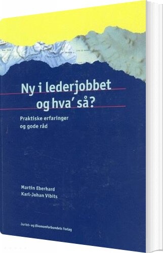 Ny I Lederjobbet Og Hva` Så? - Karl-johan Vibits - Bog