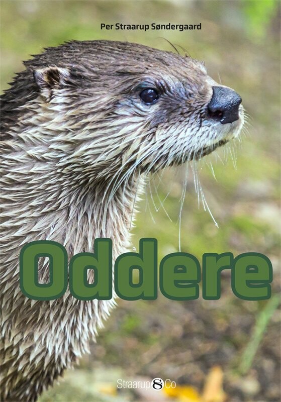 Oddere - Per Straarup Søndergaard - Bog - Straarup & Co