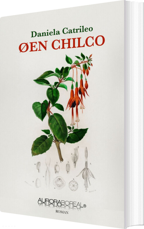 Billede af øen Chilco - Daniela Catrileo - Bog