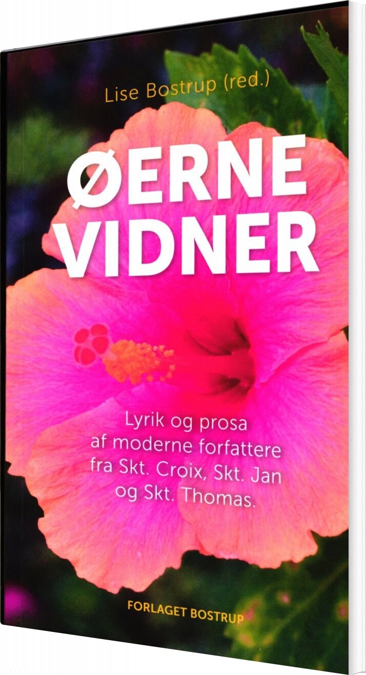 Billede af øerne Vidner - Lise Bostrup - English Book