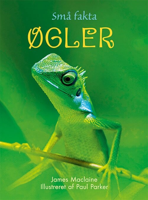 Billede af Små Fakta - øgler - James Maclaine - Bog