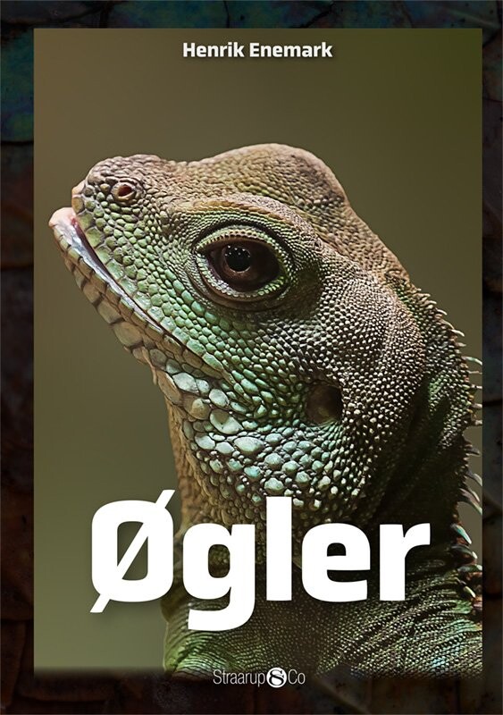 øgler - Henrik Enemark - Bog - Straarup & Co
