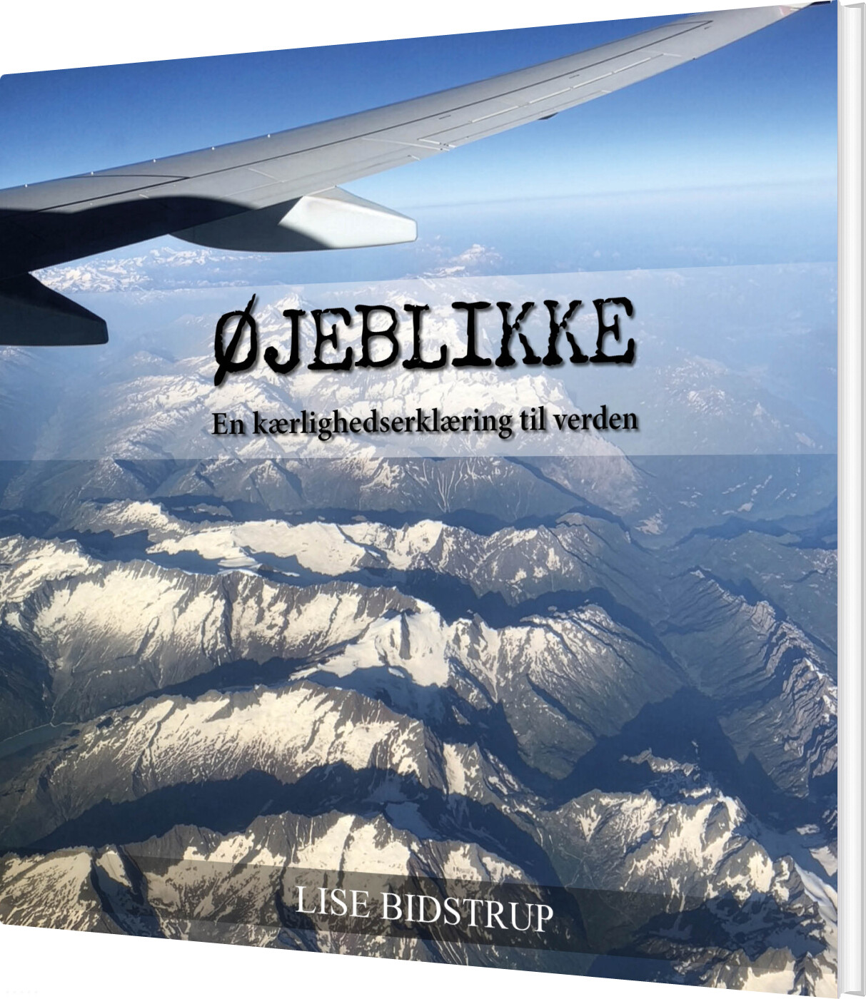 øjeblikke - En Kærlighedserklæring Til Verden - Lise Bidstrup - Bog
