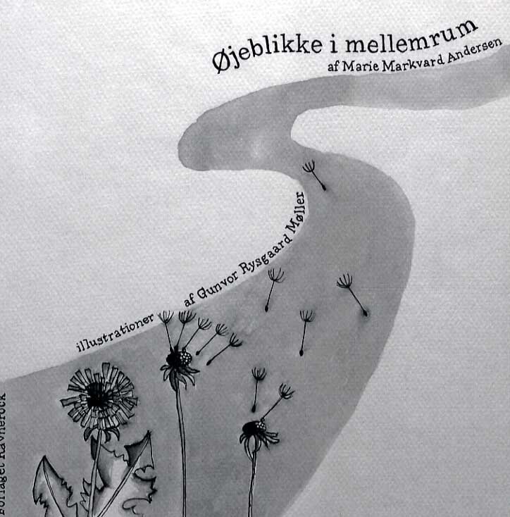 Billede af øjeblikke I Mellemrum - Marie Markvard Andersen - Bog