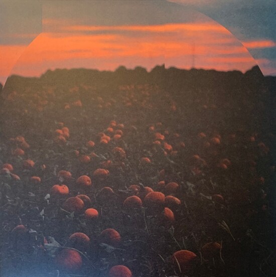 øjeblikke Vi Husker - Vinyl Lp