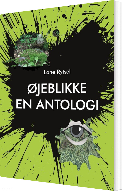 Billede af øjeblikke - Lone Rytsel - Bog