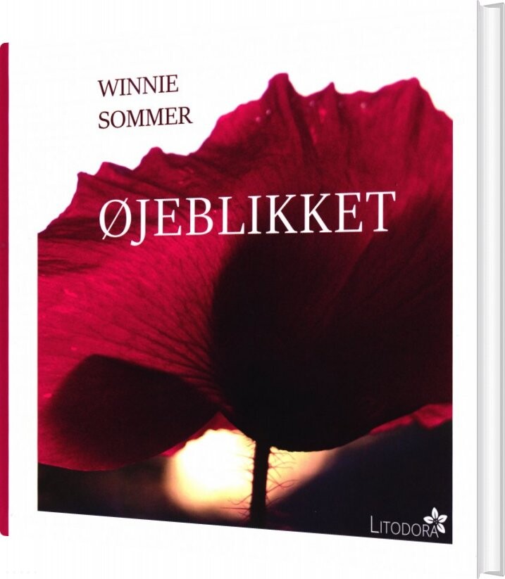 Billede af øjeblikket - Winnie Sommer - Bog