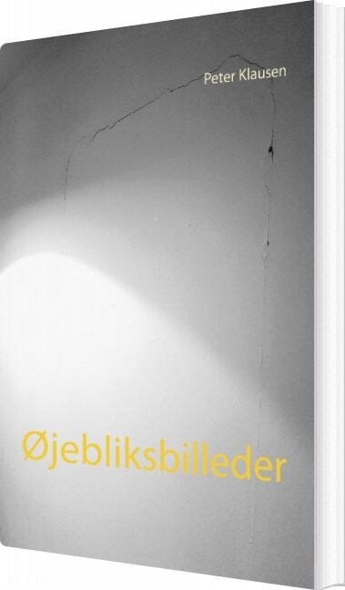 Billede af øjebliksbilleder - Peter Klausen - Bog