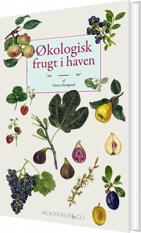 økologisk Frugt I Haven - Maren Korsgaard - Bog