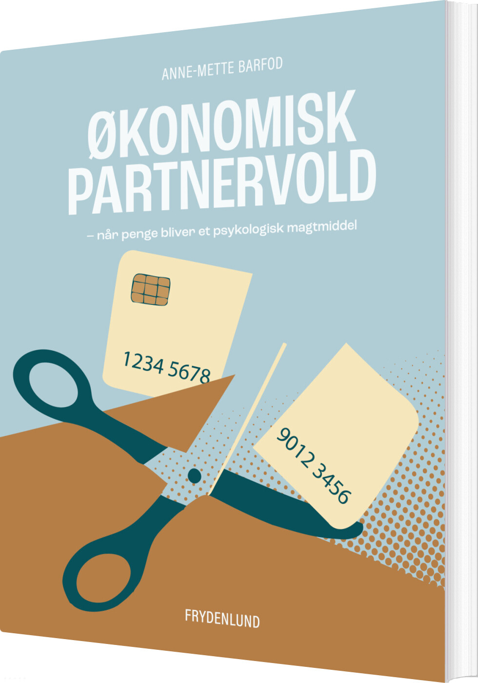 økonomisk Partnervold - Anne-mette Barfod - Bog