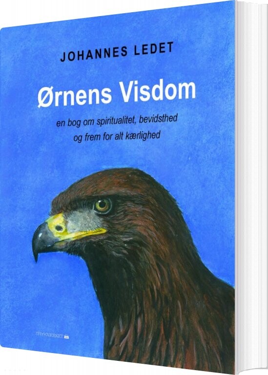 Billede af ørnens Visdom - Johannes Ledet - Bog