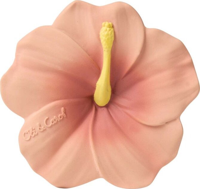 Oli & Carol Bidering - Iris The Hibiscus