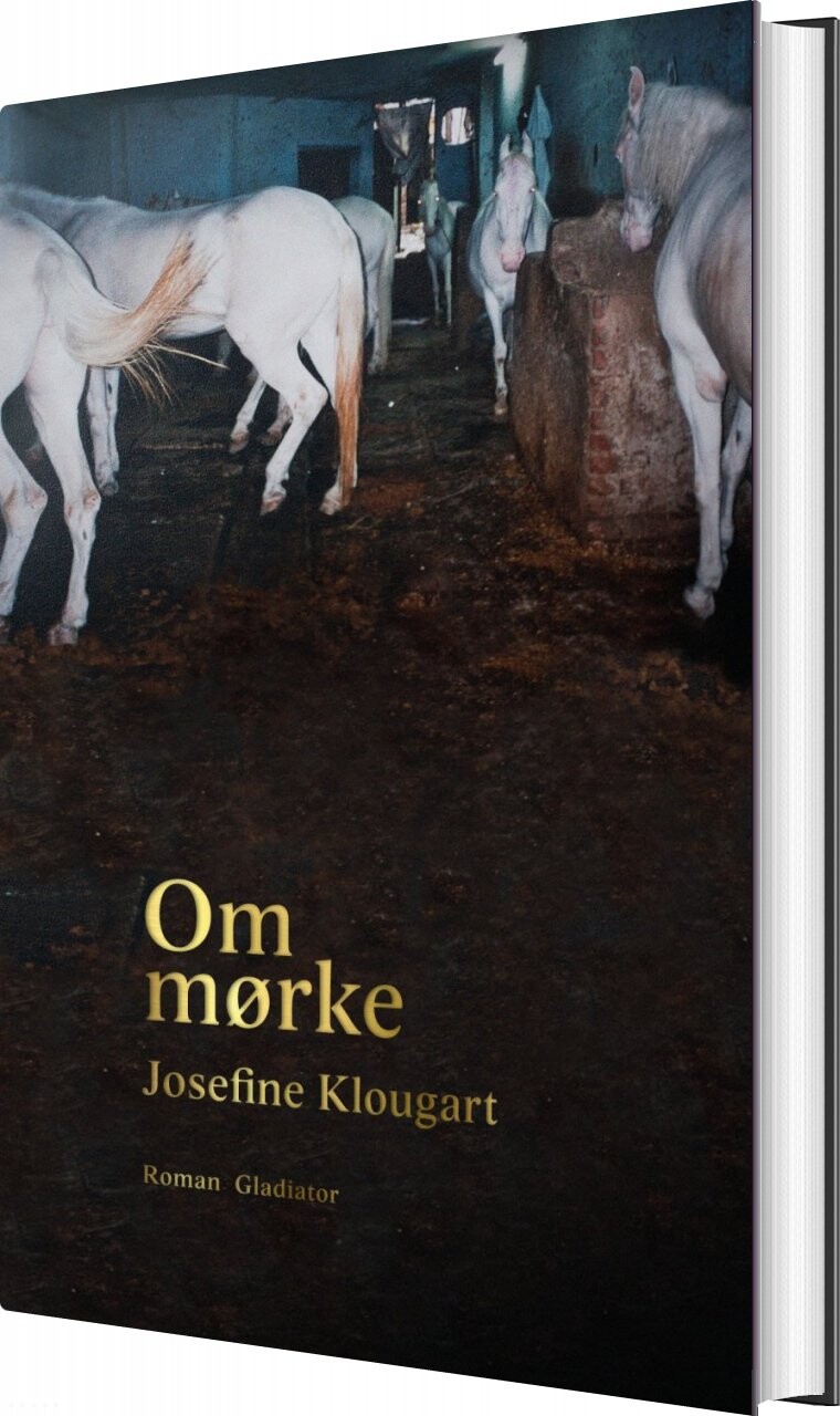 Billede af Om Mørke - Josefine Klougart - Bog