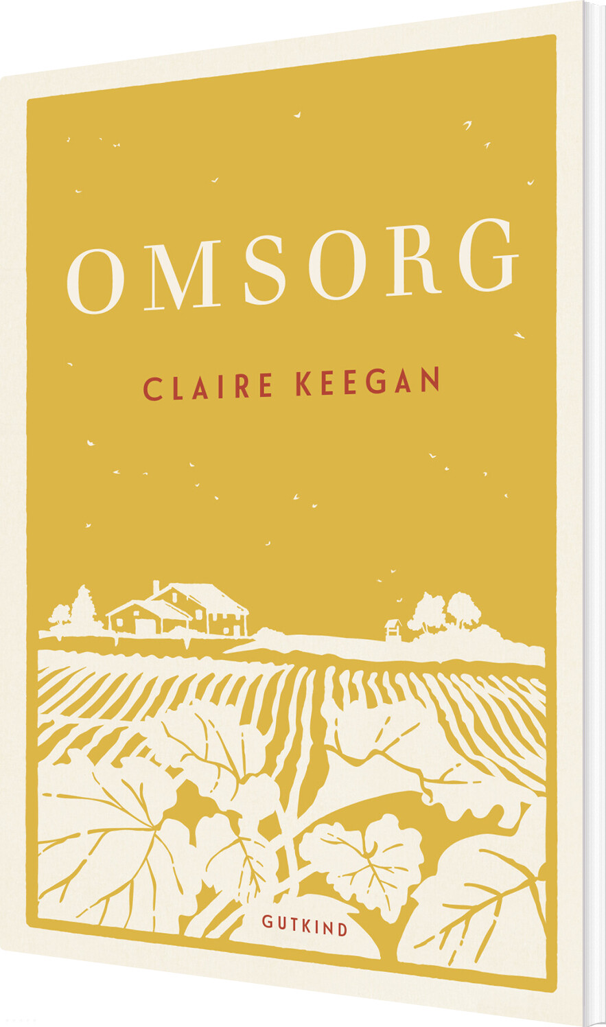 Omsorg - Claire Keegan - Bog