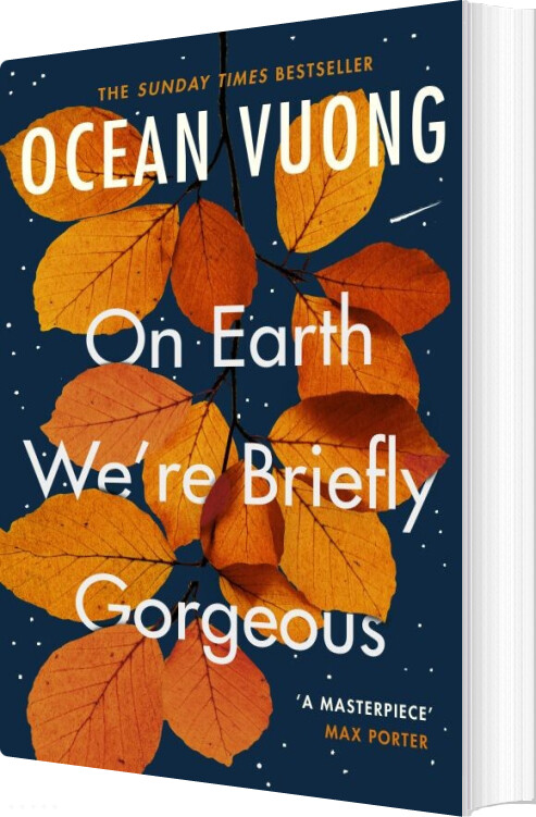 Billede af On Earth We're Briefly Gorgeous - Ocean Vuong - English Book