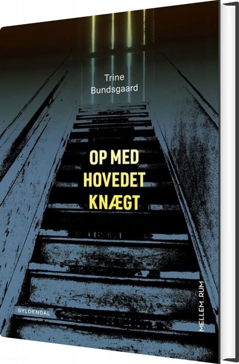 Billede af Mellem_rum. Op Med Hovedet Knægt - Trine Bundsgaard - Bog
