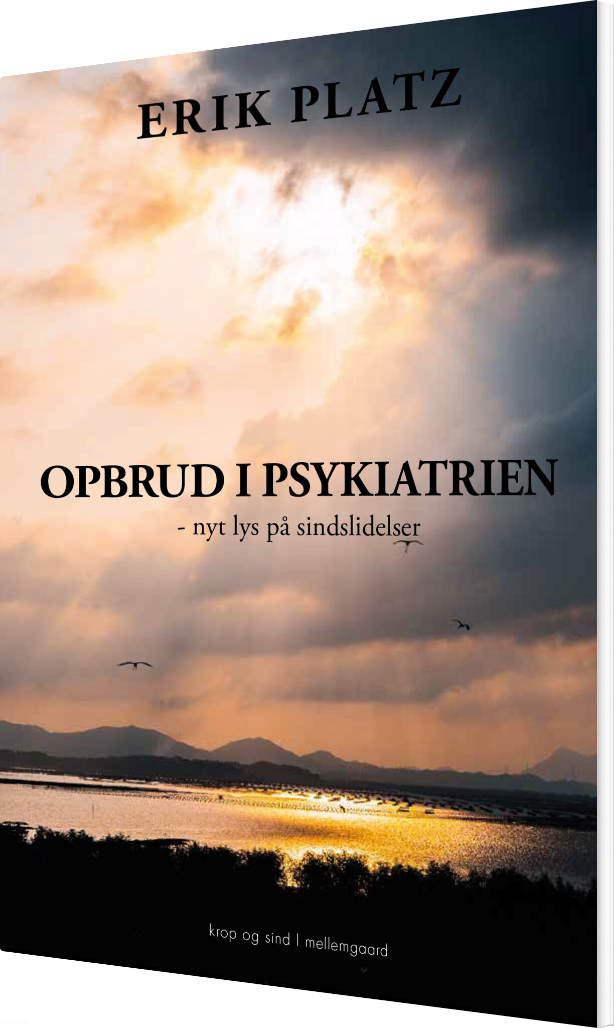 Opbrud I Psykiatrien - Erik Platz - Bog