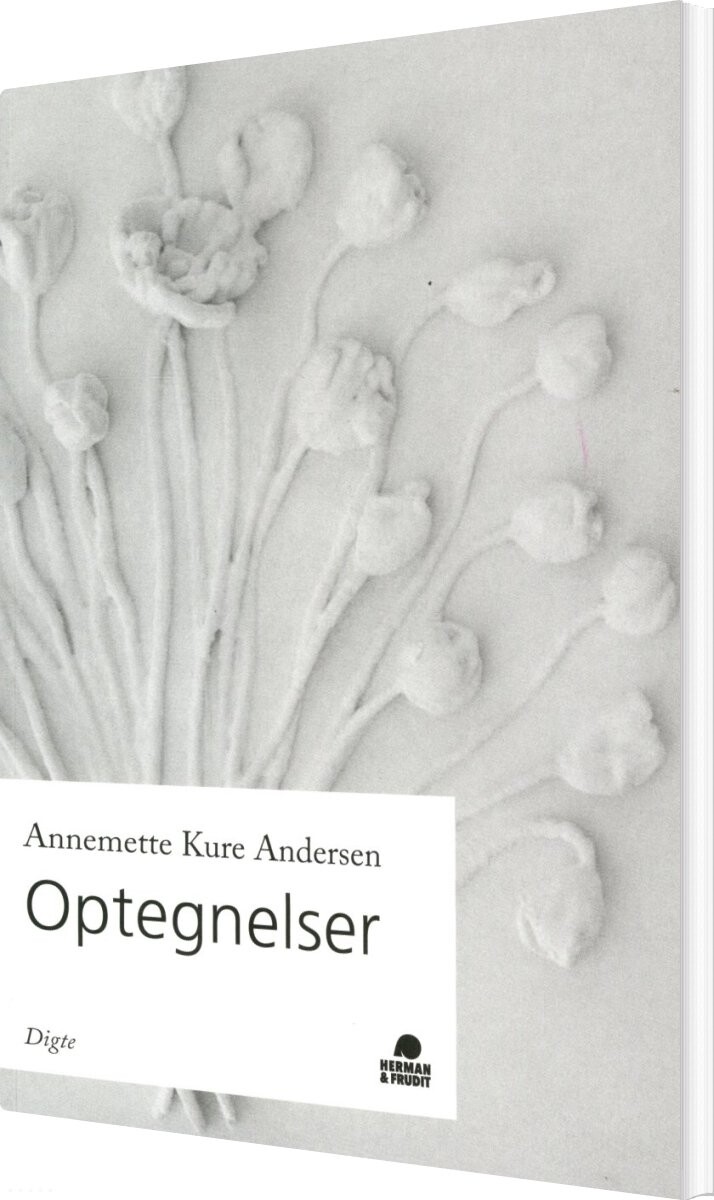 Billede af Optegnelser - Annemette Kure Andersen - Bog