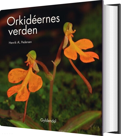 Billede af Orkidéernes Verden - Henrik ærenlund Pedersen - Bog