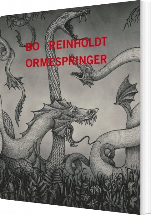 Ormespringer - Bo Reinholdt - Bog
