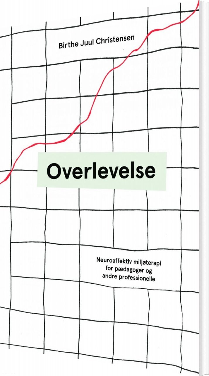 Billede af Overlevelse - Birthe Juul Christensen - Bog