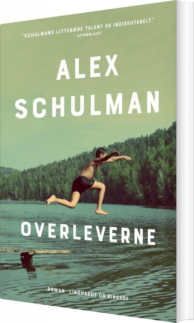 Billede af Overleverne - Alex Schulman - Bog