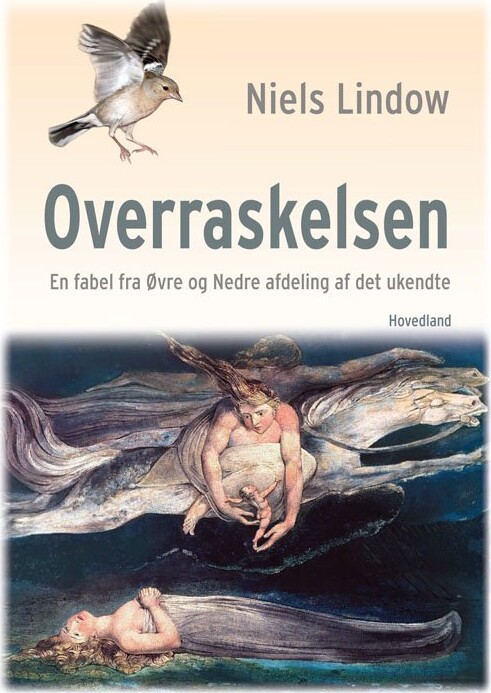 Billede af Overraskelsen - Niels Lindow - Bog