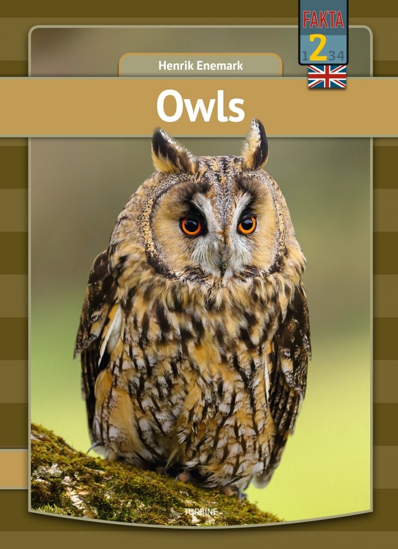 Billede af Owls - Henrik Enemark - English Book