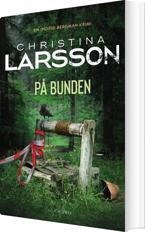 På Bunden - Christina Larsson - Bog