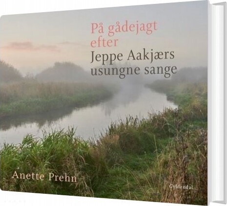 Billede af På Gådejagt Efter Jeppe Aakjærs Usungne Sange - Anette Prehn - Bog