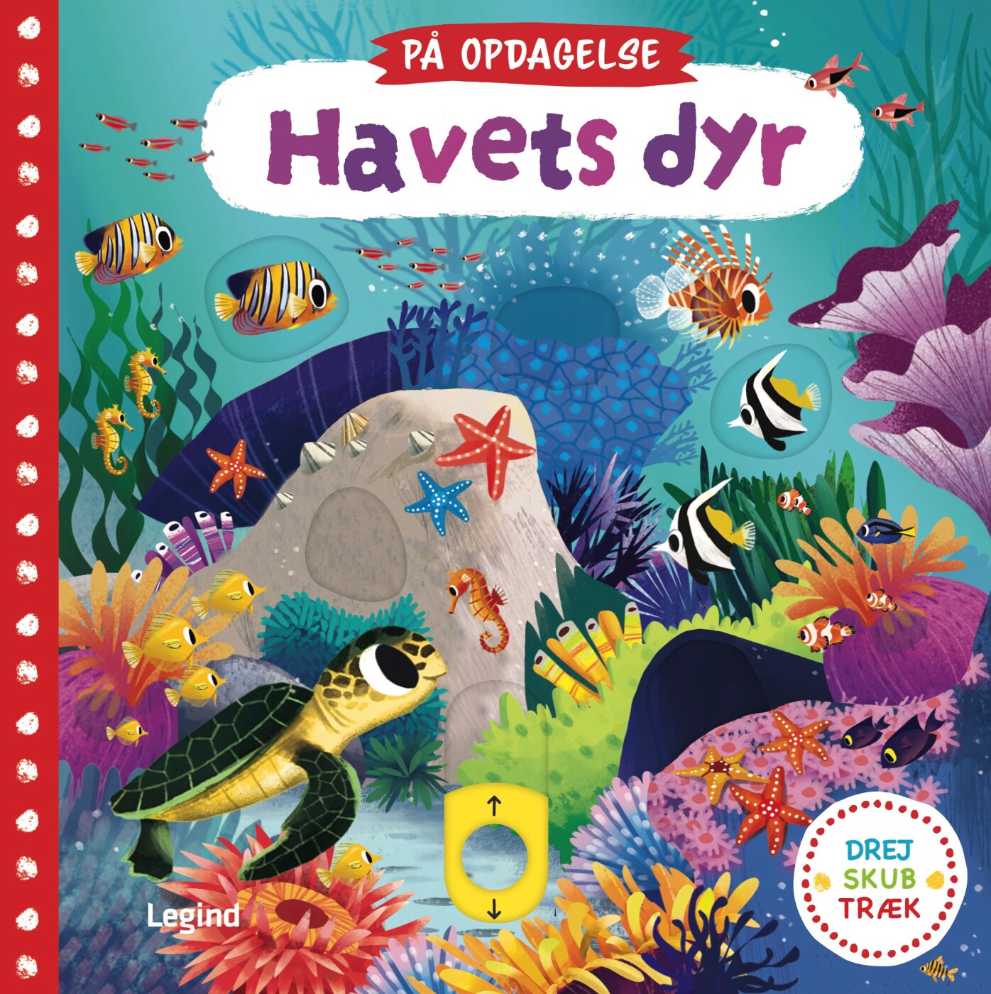 På Opdagelse - Havets Dyr - Bog