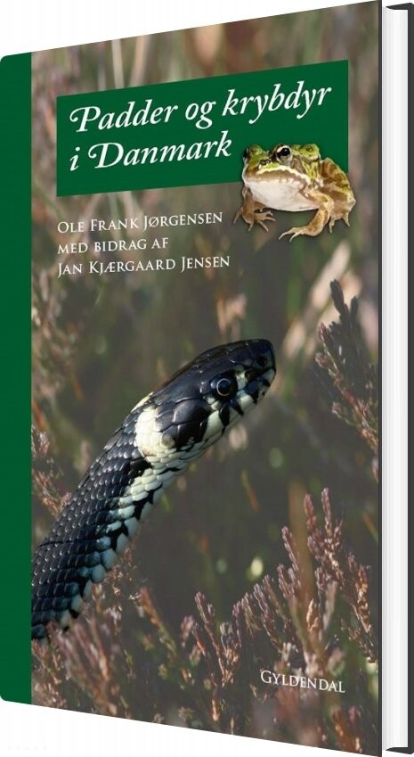 Billede af Padder Og Krybdyr I Danmark - Ole Frank Jørgensen - Bog