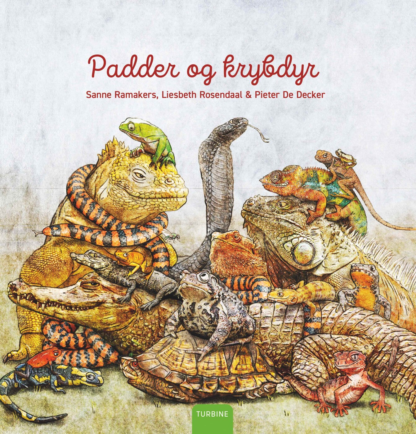 Padder Og Krybdyr - Sanne Ramakers - Bog