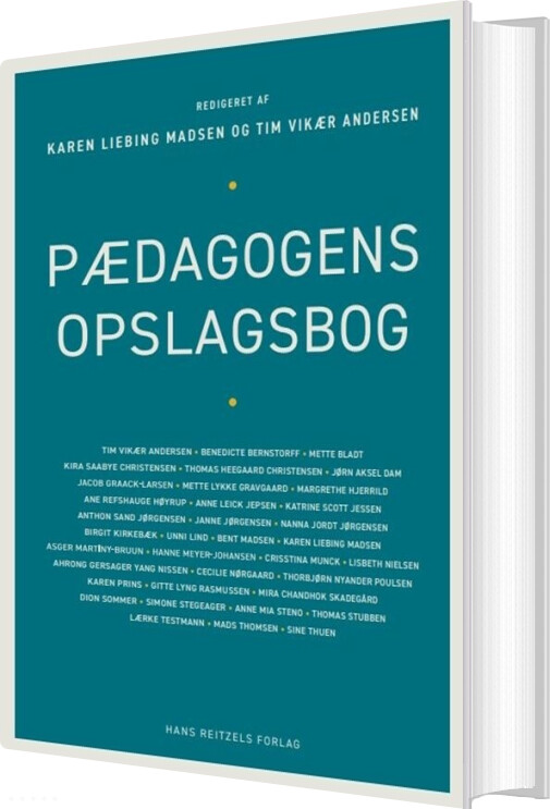 Pædagogens Opslagsbog - Birgit Kirkebæk - Bog