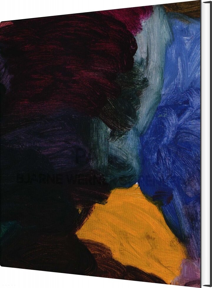 Panorama - Bjarne Werner Sørensen - Bog