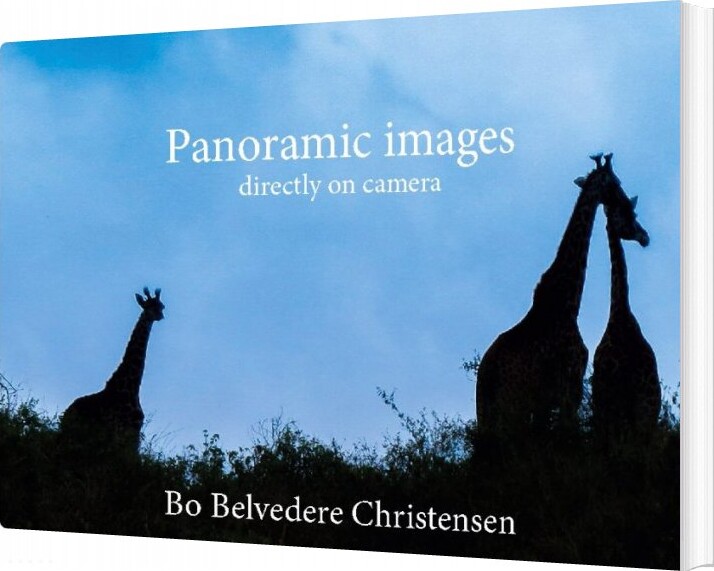 Panoramic Images - Bo Belvedere Christensen - English Book