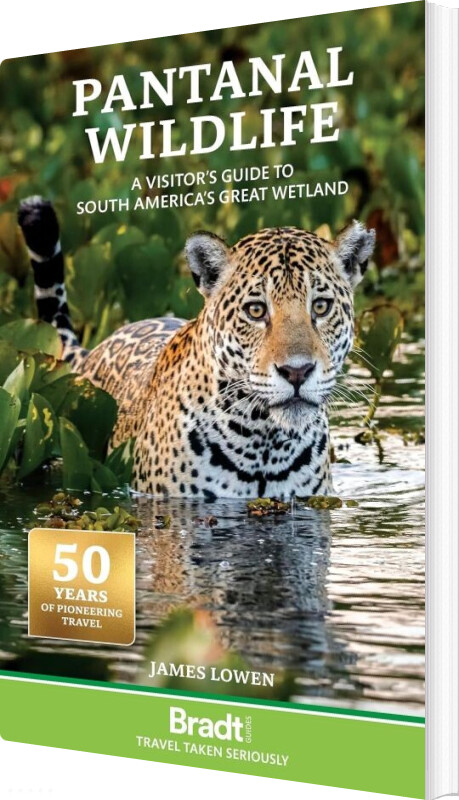 Bradt - Pantanal Wildlife : A Visitors Guide To Brazil's Great Wetland - Lowen James - English Book