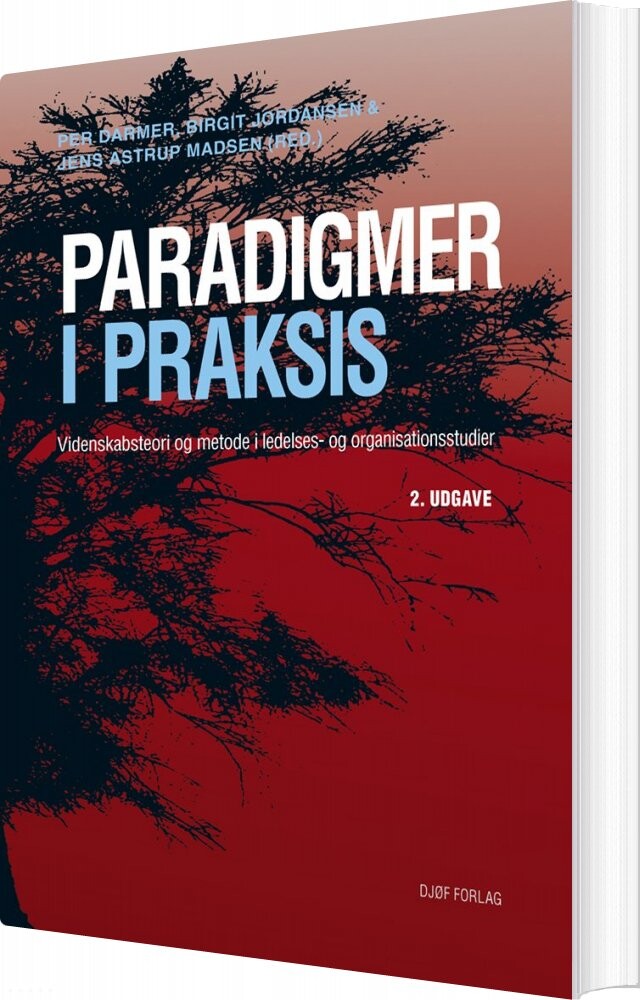 Paradigmer I Praksis - Jens Astrup Madsen - Bog