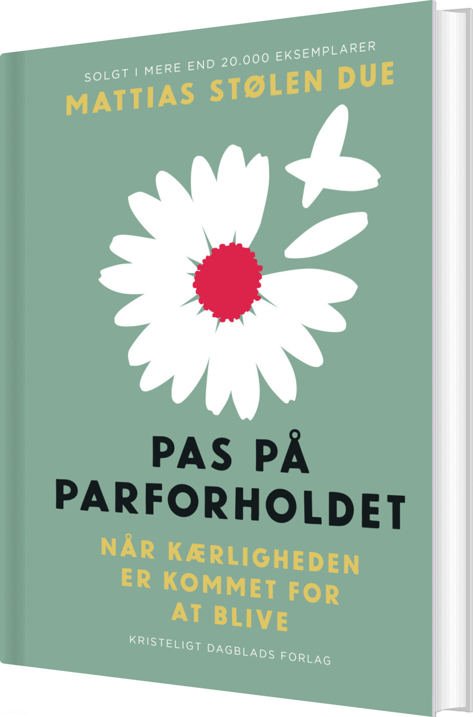 Pas På Parforholdet - Mattias Stølen Due - Bog