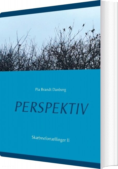 Billede af Perspektiv - Pia Brandt Danborg - Bog