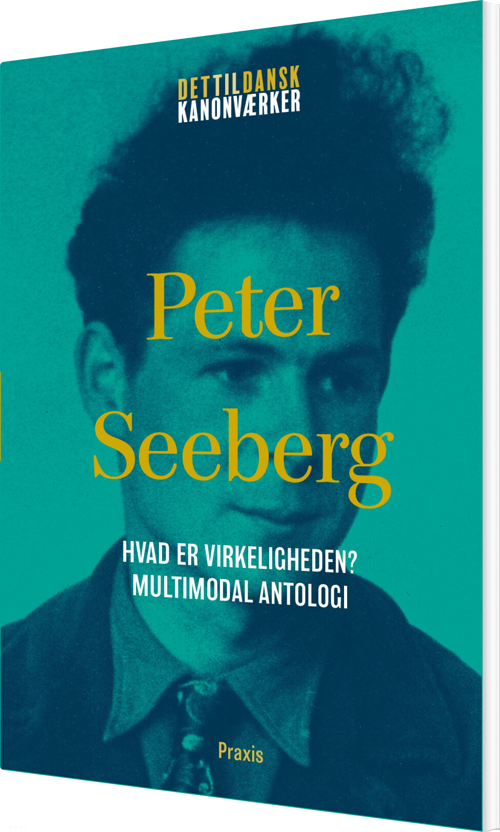 Peter Seeberg: Hvad Er Virkeligheden? - Multimodal Antologi - Peter Seeberg - Bog