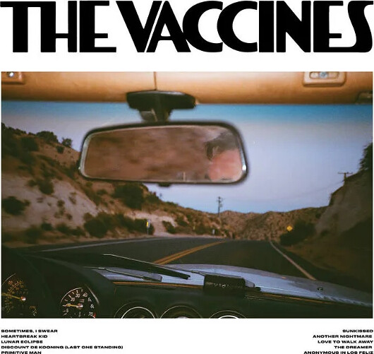 The Vaccines - Pick-up Full Of Pink Carnations - CD
