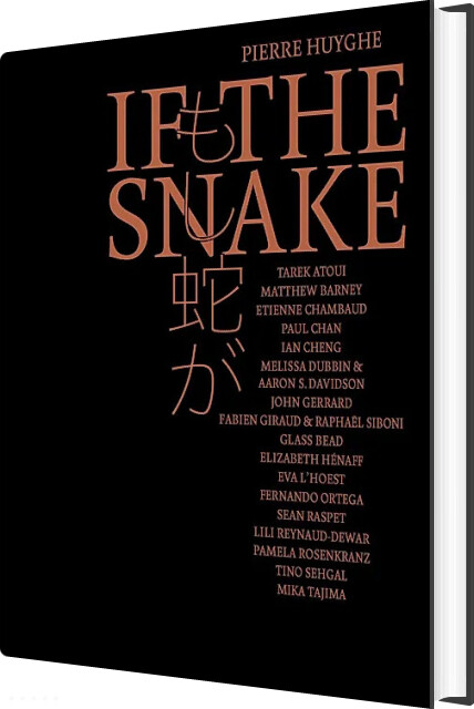 Pierre Huyghe - If The Snake - Pierre Huyghe - English Book