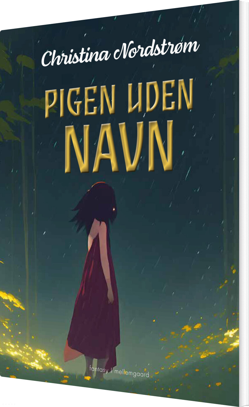 Pigen Uden Navn - Christina Nordstrøm - Bog