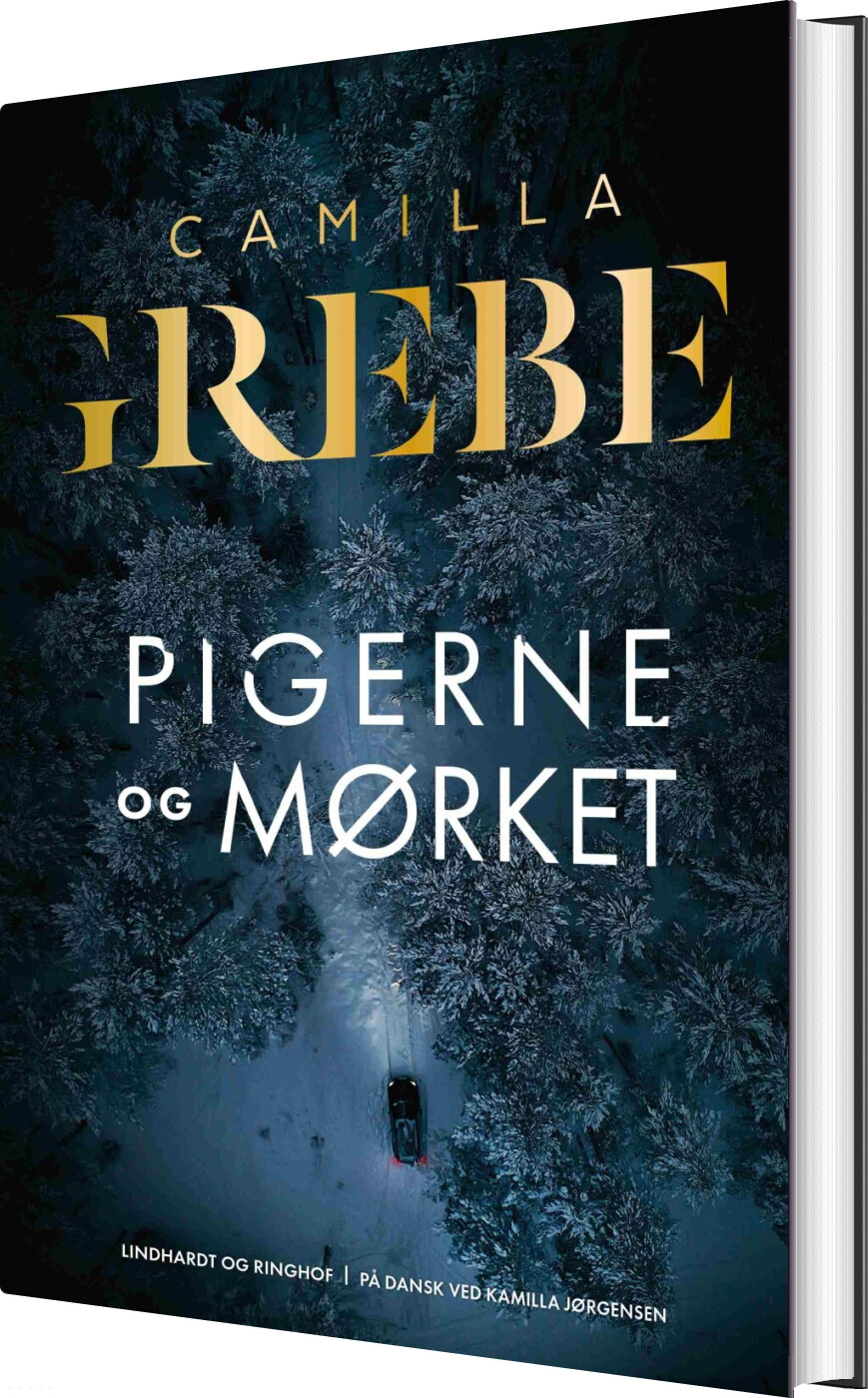 Pigerne Og Mørket - Camilla Grebe - Bog