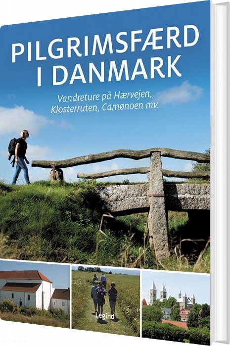 Billede af Pilgrimsfærd I Danmark - Jørgen Hansen - Bog