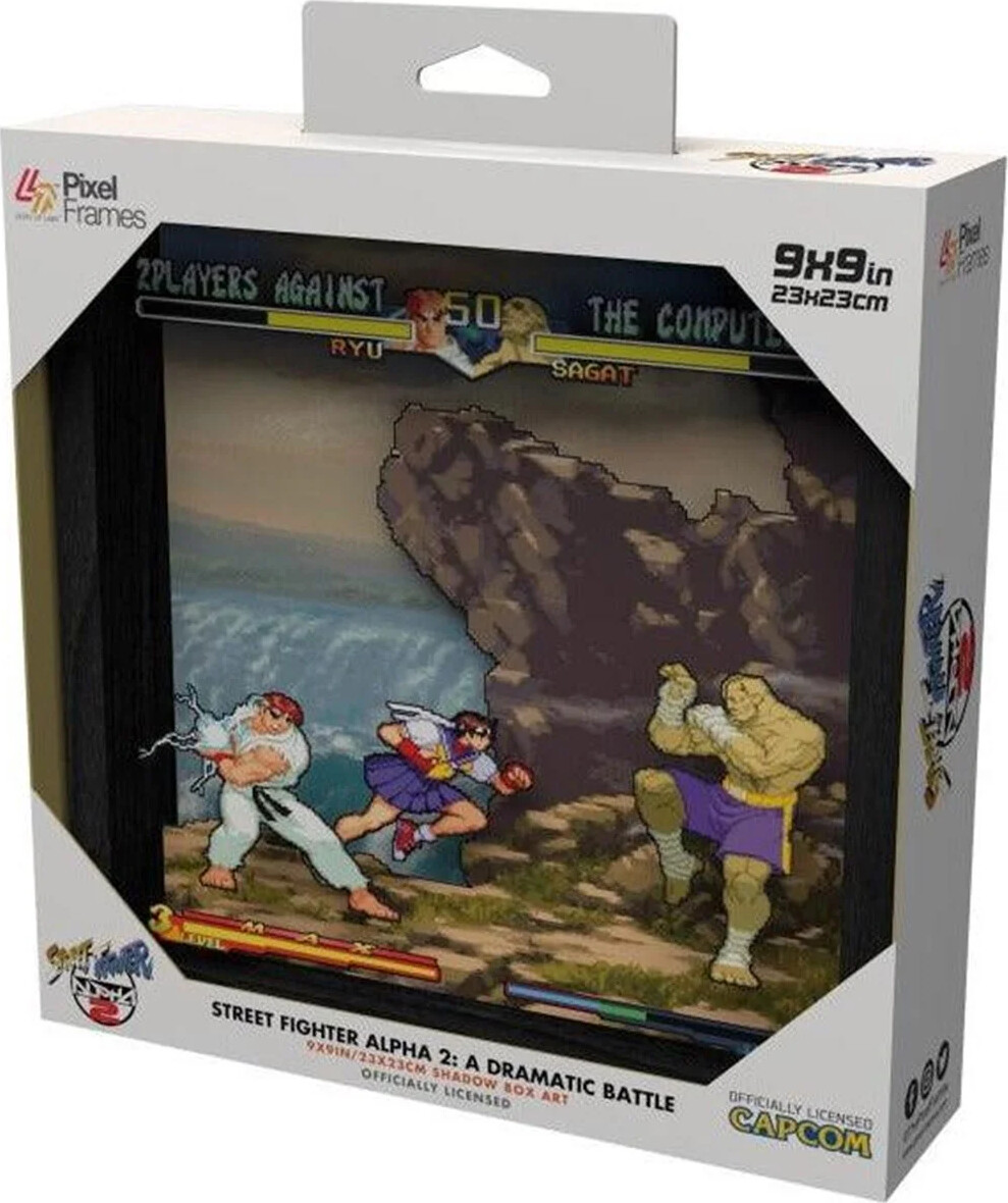 Pixel Frames - Street Fighter Alpha 2: A Dramatic Battle - Billede
